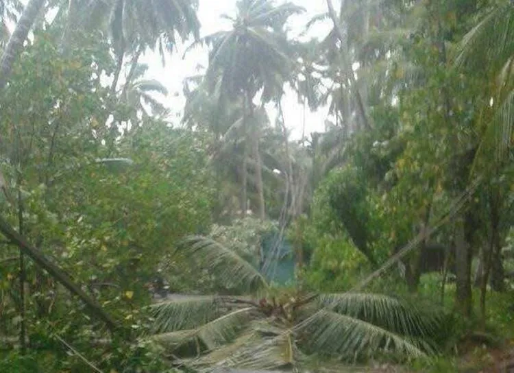 heavy rain, Cyclone Ockhi, tamilnadu