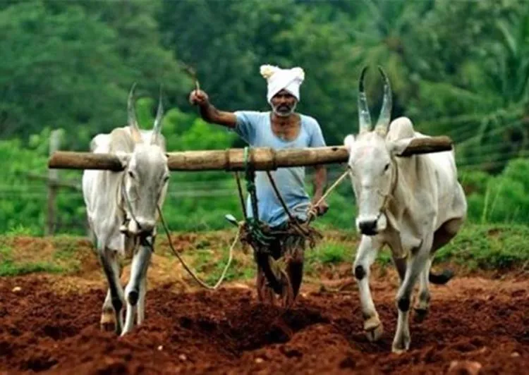 indian-farmers