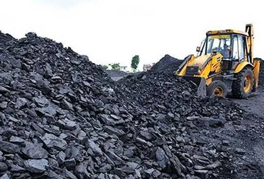 Coal Import Scam, Arappor Movement Fasting, Chennai High Court