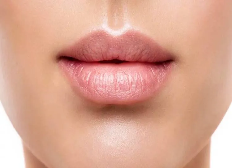 lips protection in summer