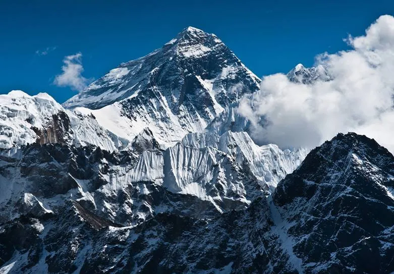 Wild Himalaya book review