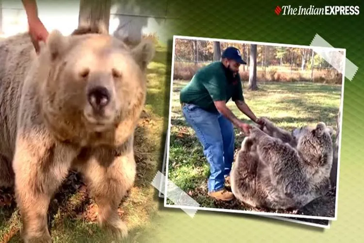 Viral trending video Orphaned bear reunites with caretaker