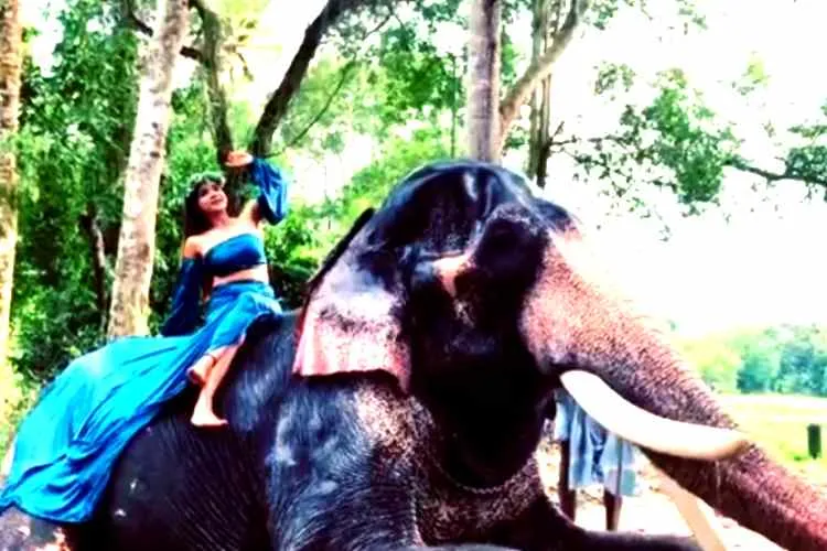 Actress Sakshi Agarwal, Sakshi Agarwal bathing with Elephant, Sakshi Agarwal sitting on Elephant, சாக்‌ஷி அகர்வால் யானையுடன் குளியல், Sakshi Agarwal bathing in elephant shower, நடிகை சாக்‌ஷி அகர்வால் யானை மீது அமர்ந்து குளியல், சாக்‌ஷி அகர்வால் வீடியோ வைரல், Sakshi Agarwal bathing with Elephant elephant bathing video viral, Sakshi Agarwal bathing with Elephant bathing video attracted viewers in instagram, Sakshi Agarwal instagram
