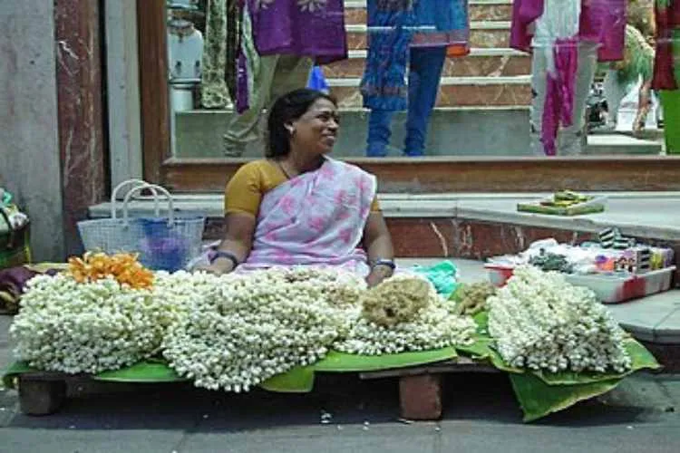 jasmine price skyrockets due to pongal demand