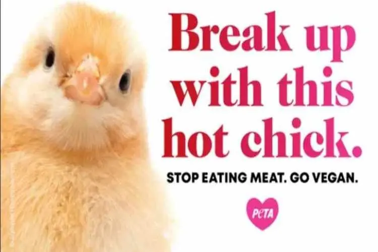 peta, valentine's day, peta and veganism, valentine's day and veganism, peta advertisement for valentine's day, joaquin phoenix, joaquin phoenix oscar speech, animal rights, plant based diet, indian express, indian express news