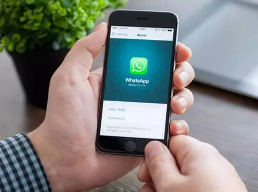 WhatsApp's new search feature for photos, videos, GIFs