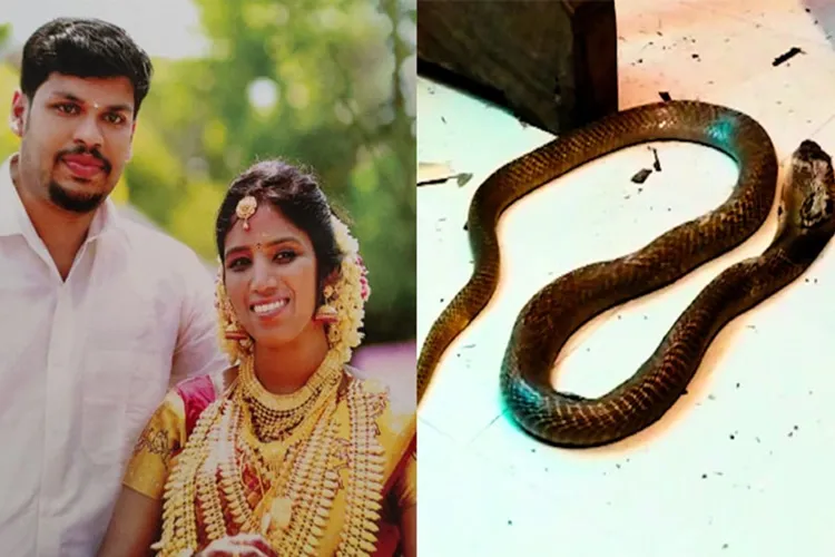Husband arrested for getting wife killed by snake in Kerala