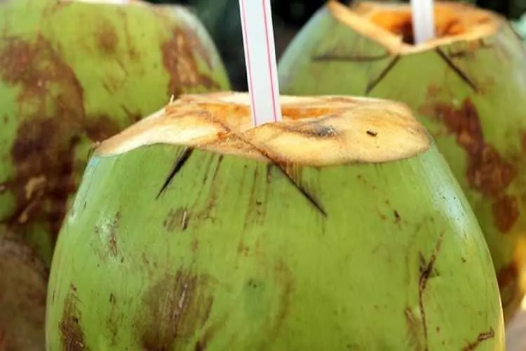 skin care, healthy skin, facial tips, ageing , bone strength, coconut water, benefits of coconut water, indianexpress.com, summer drinks, workout drinks, indianexpress, nmami agarwal