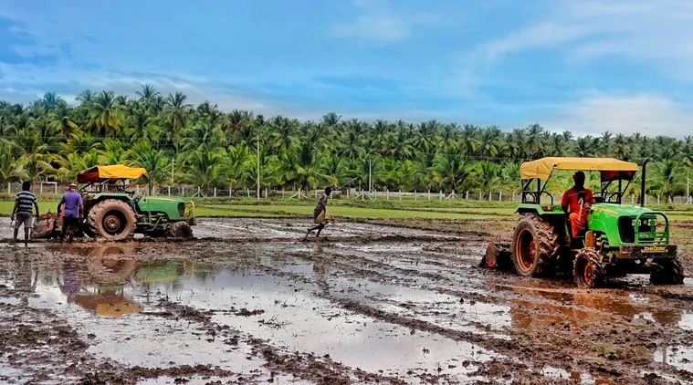 Delta Districts cultivate kuruvai crops in 3.87 lakhs acre this year