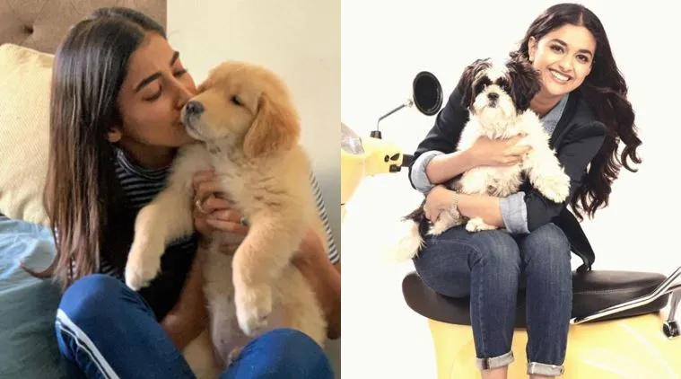Tamil Celebrities with their pet dogs
