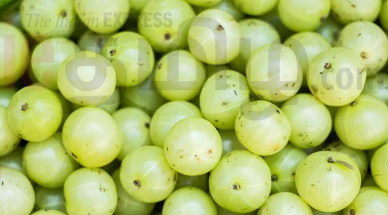 Healthy food news in tamil how to consume amla and health benefits of Amla