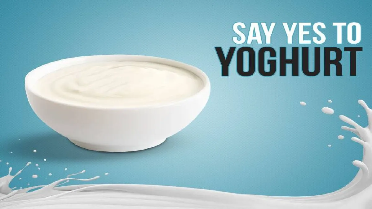 Healthy food Tamil News yoghurt recipe summer recipes curd with sugar