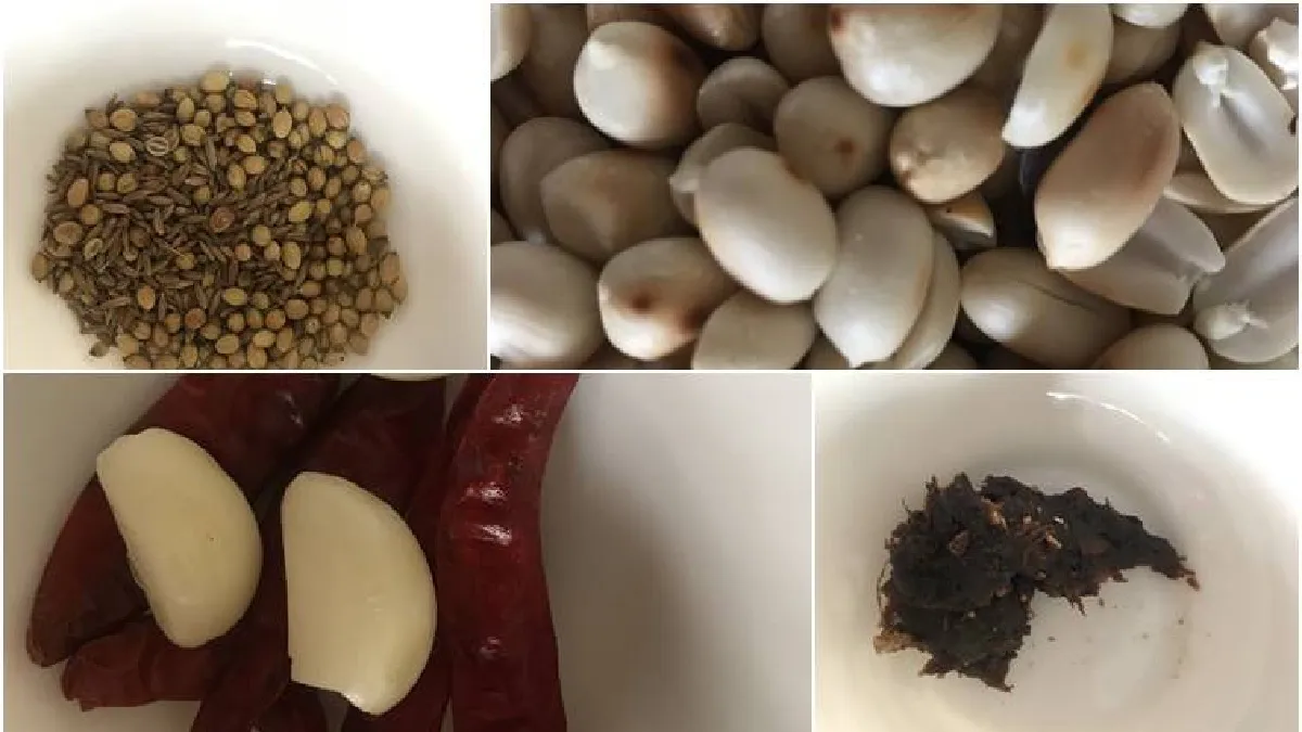 Healthy food tamil news How to prepare Peanut, Garlic idli podi  