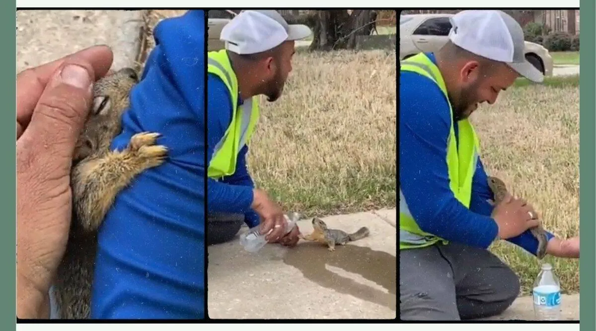 Heartwarming video of man helping thirsty squirrel drink water from bottle goes viral