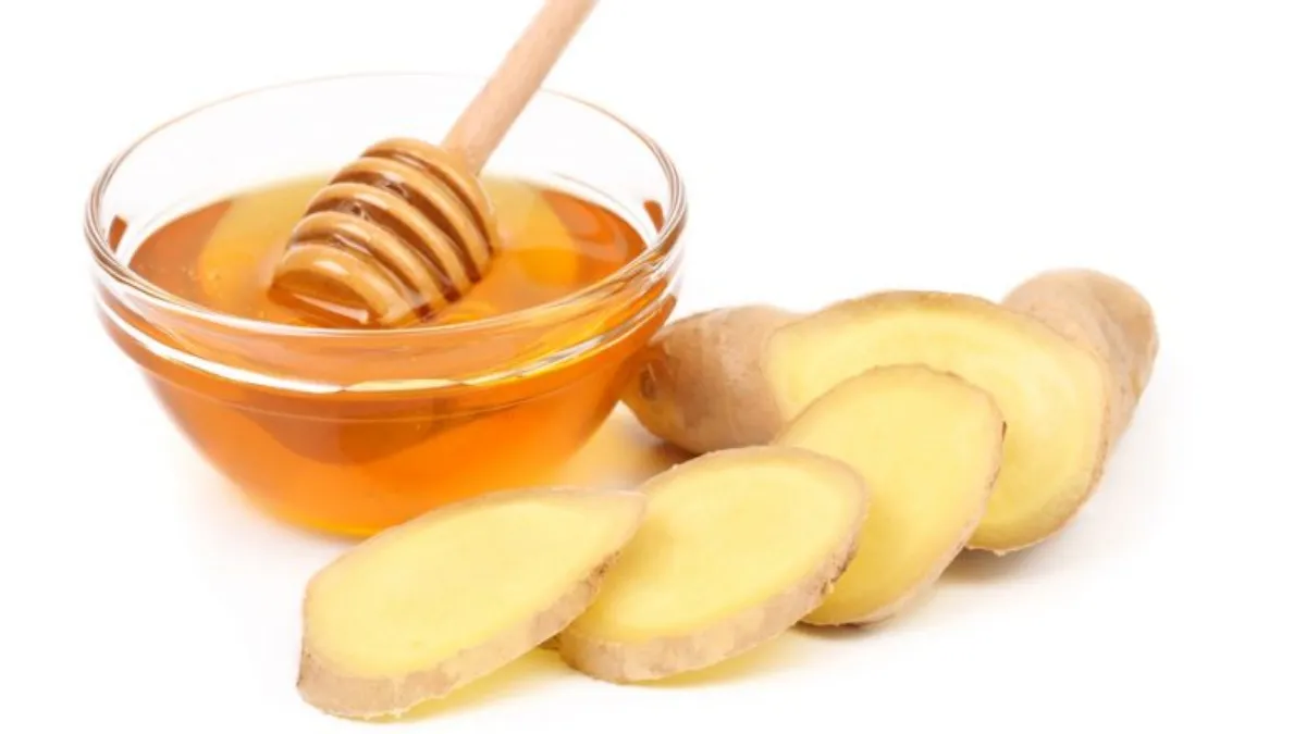 Benefits of honey with ginger Tamil News: health Benefits of honey with ginger in tamil