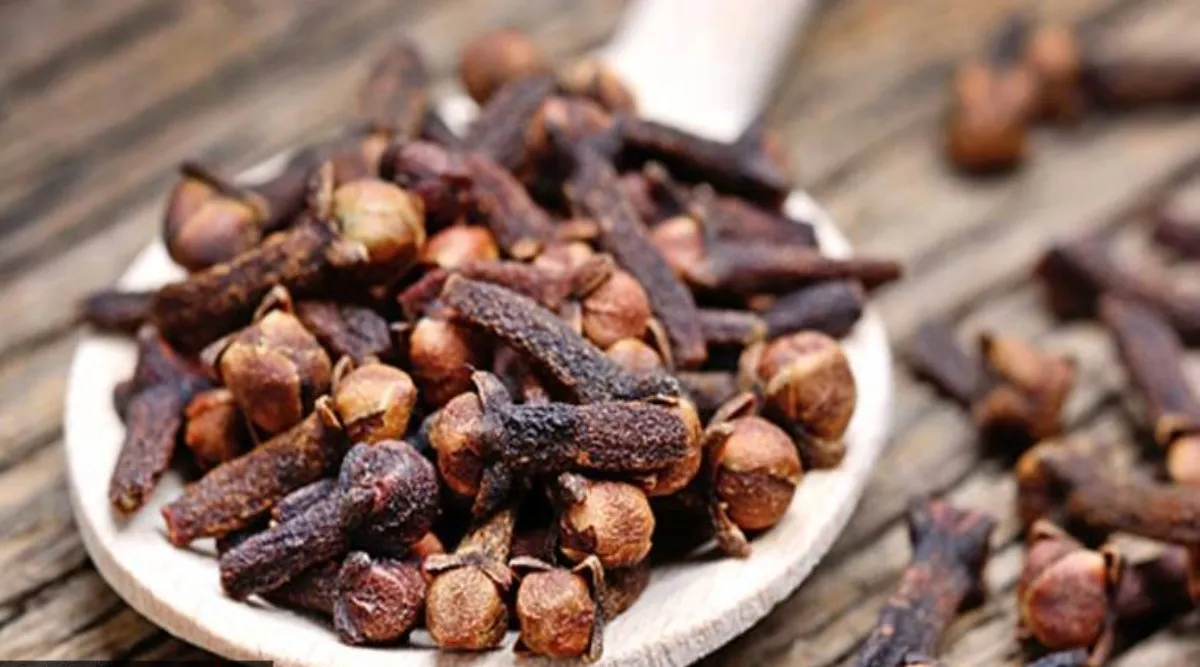 Healthy food Tamil News: Health benefits of clove in tamil