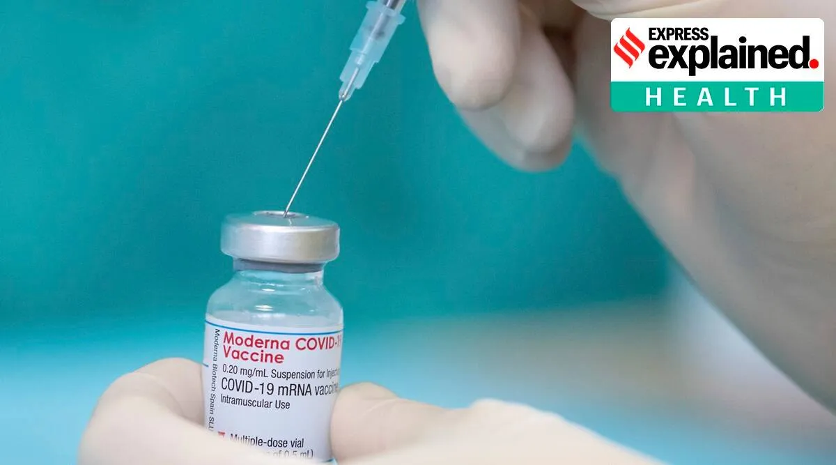 Moderna vaccine elicits immune response in infant model Tamil News