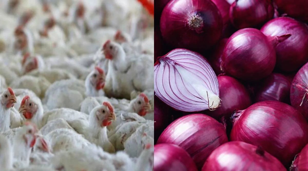 Chennai city Tamil News: Broiler chicken and onion prices hike in Chennai