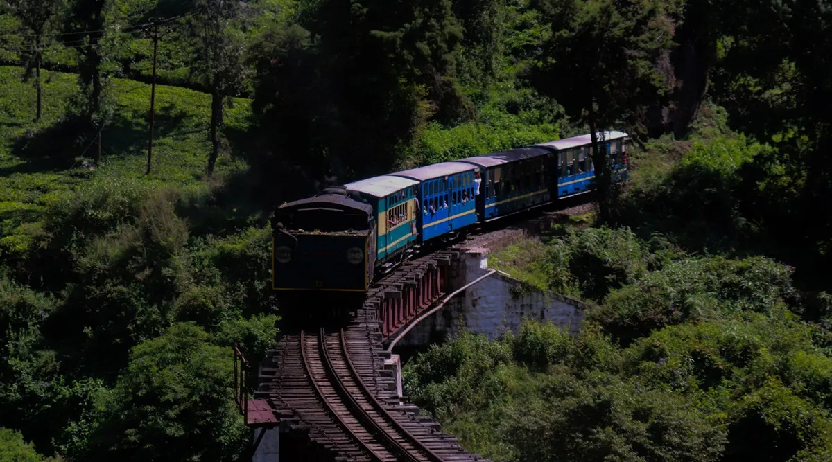Nilgiri Mountain Rail, Nilgiri Toy train