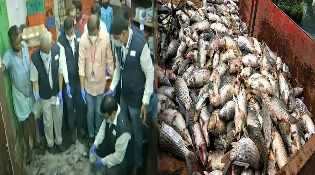 சென்னையில் 270 கிலோ அழுகிய மீன்கள் பறிமுதல்: பார்மலின் கலந்ததா? அதிகாரிகள் விசாரணை