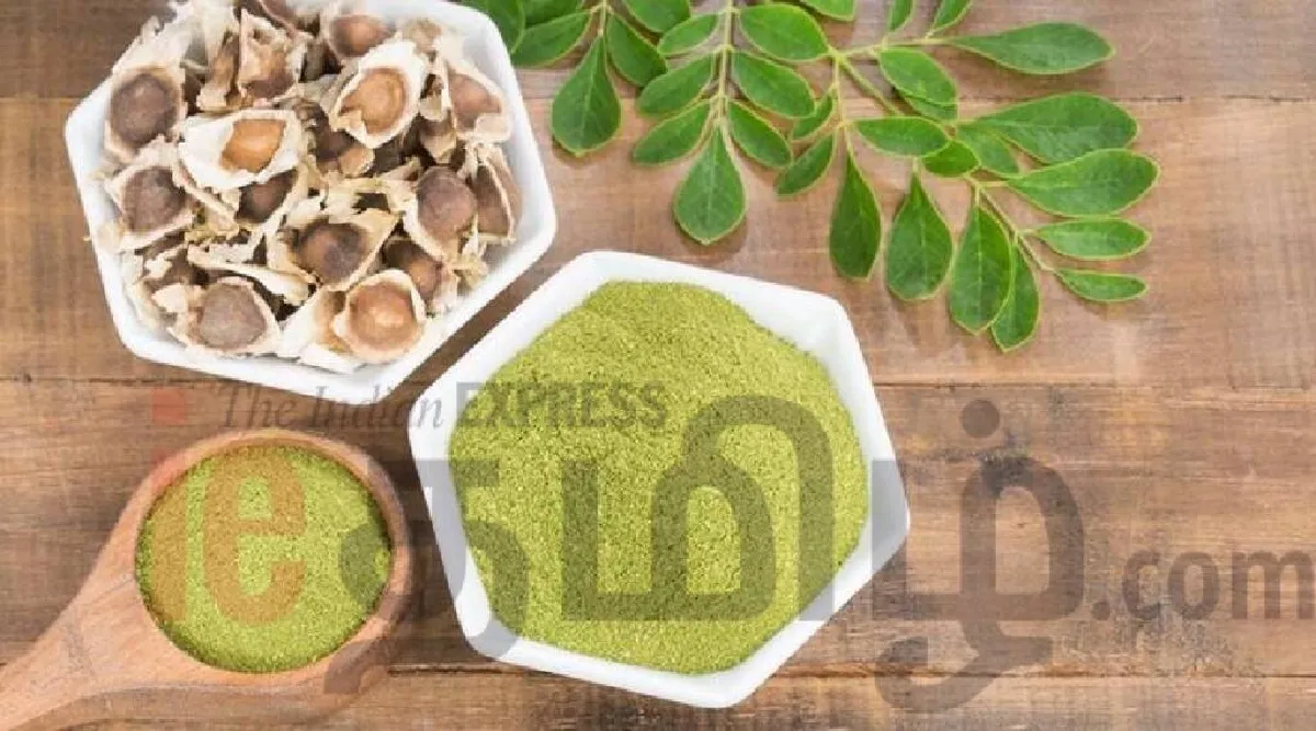moringa benefits in tamil: Health Benefits of Moringam leaves in tamil