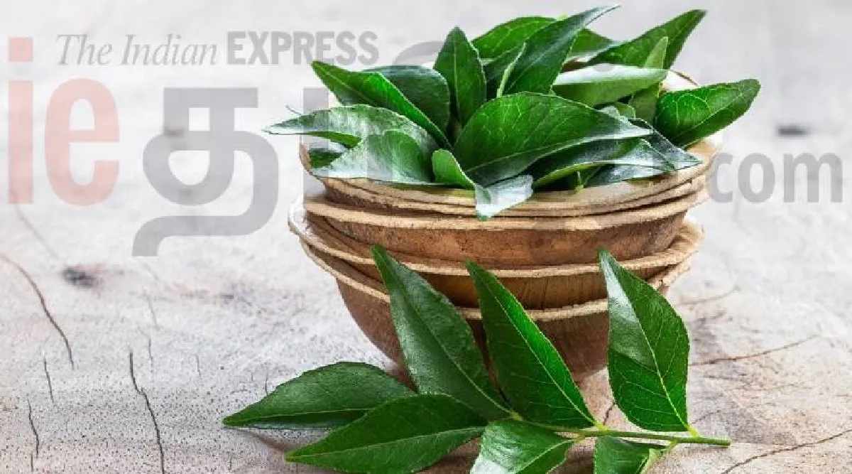 curry leaves benefits in tamil: curry leaf tea making in tamil