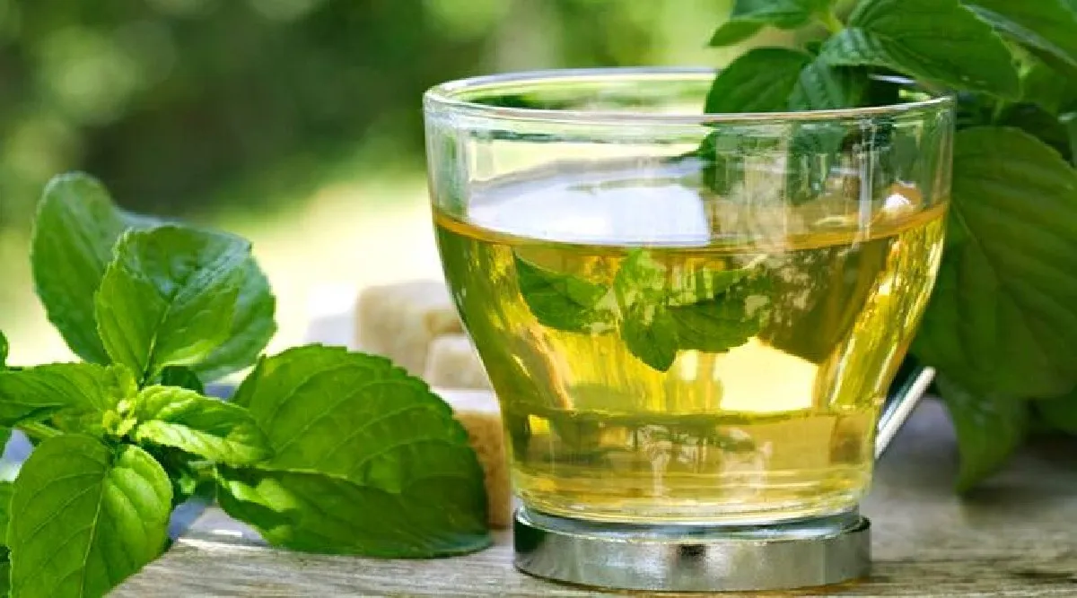 Weight loss drinks tamil: How and when to have green tea in tamil