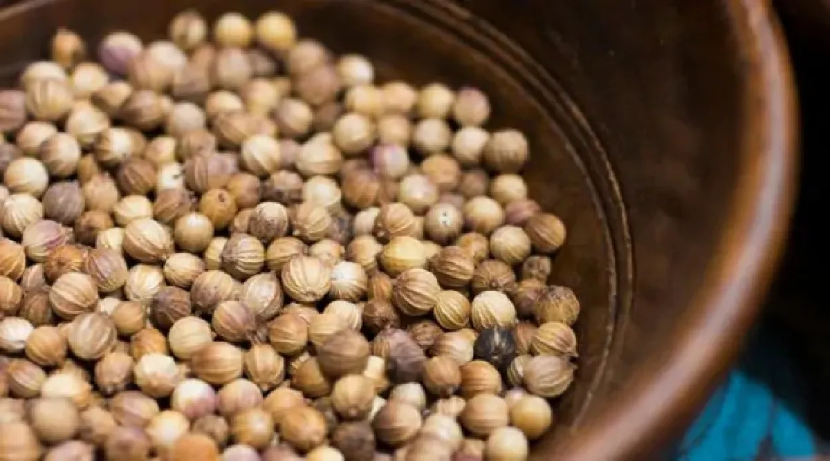 Coriander seeds Benefits tamil: Impressive Benefits Of Coriander Seeds tamil