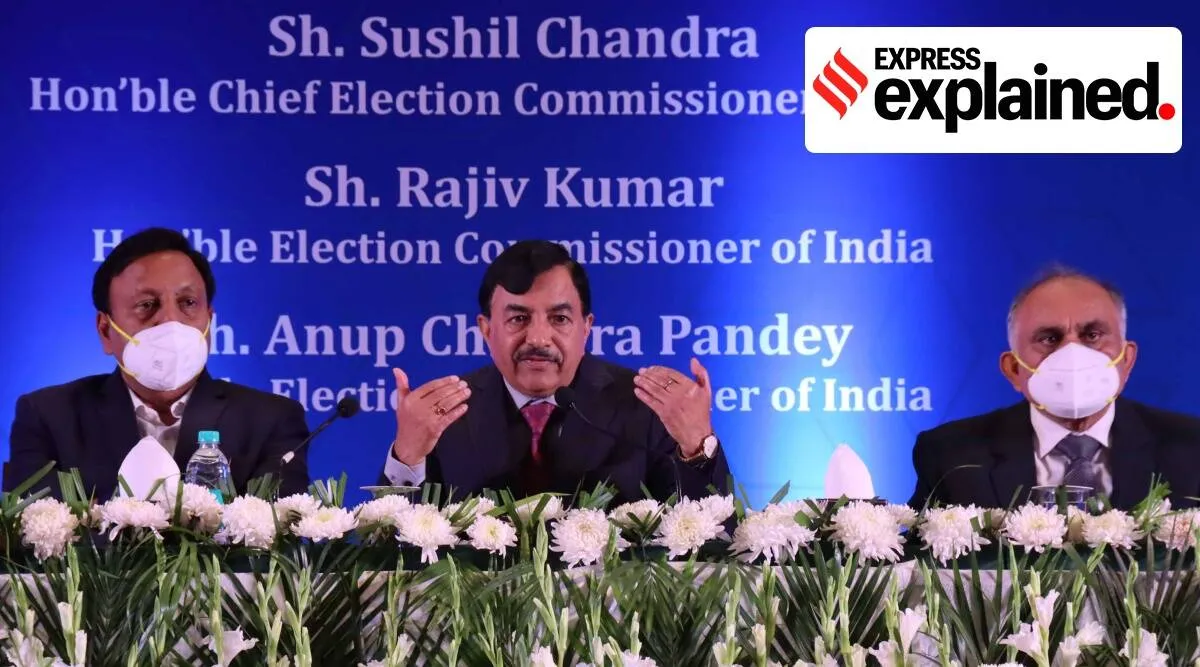 CEC ECs interaction with PMO