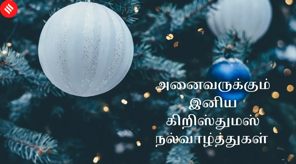 Merry Christmas: வாழ்த்துகளை உறவினர்களுடன் பகிர வேண்டுமா? அப்போ இதை செக் பண்ணுங்க!