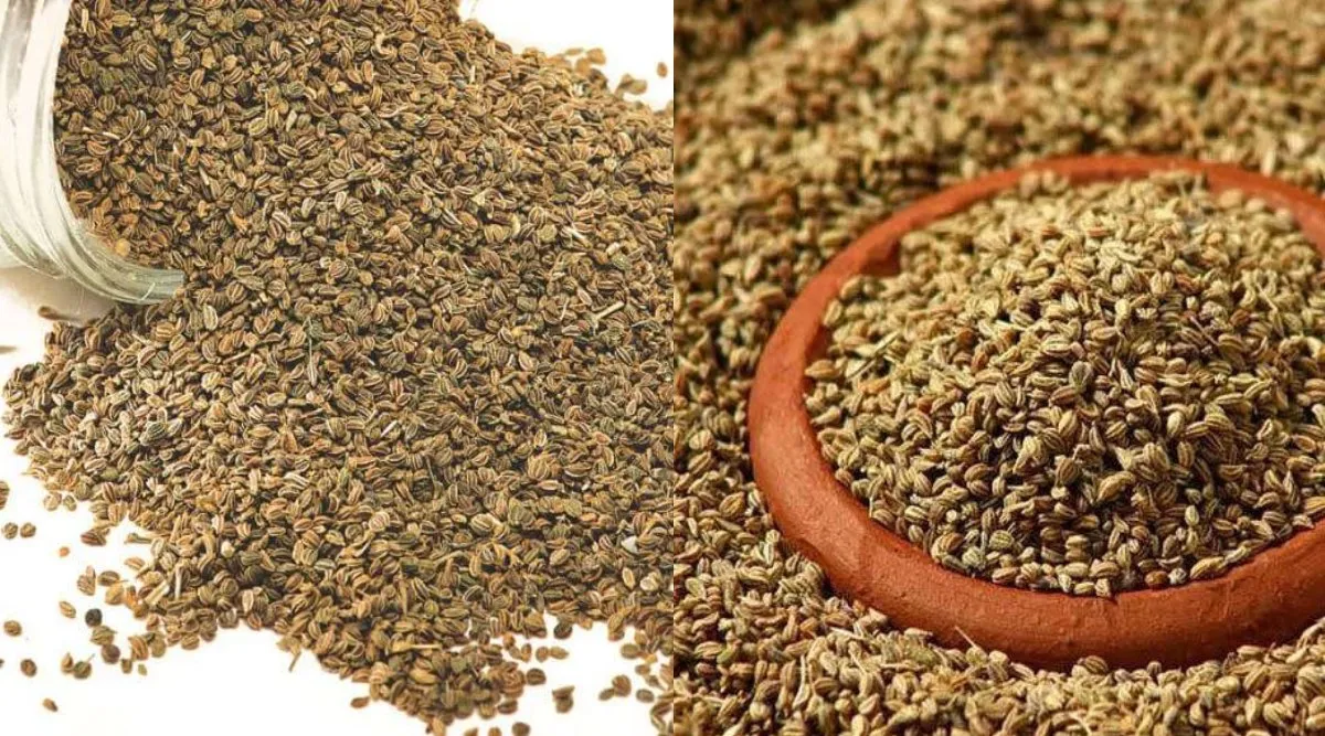 Carom Seeds benefits in tamil: Ajwain or omam or Carom Seeds For Diabetes