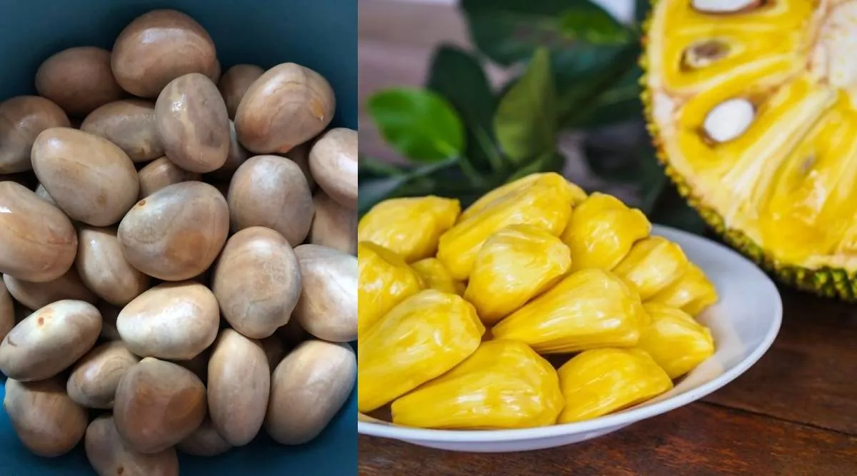 Tamil health tips: Jackfruit seeds for immunity in tamil