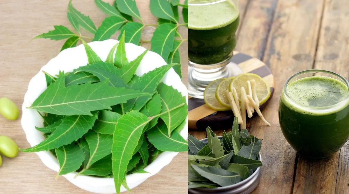neem juice benefits in tamil: health benefits of neem juice and its uses tamil