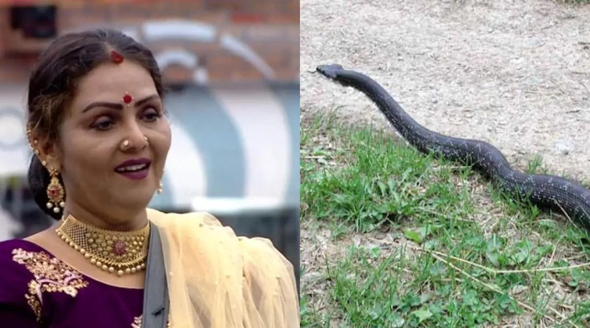Fathima Babu Tamil News: Snake Found in Retirement Home Run by bigg boss fame Fathima