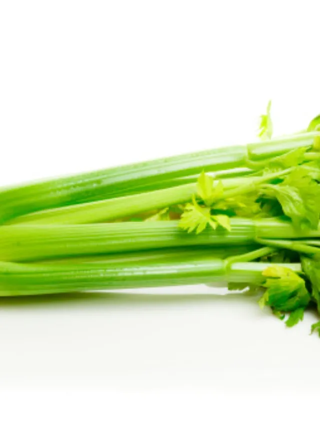 celery - unsplash (1)
