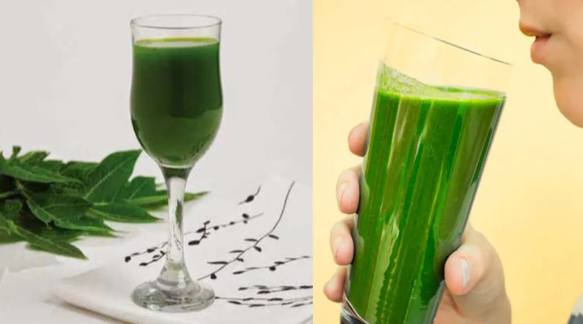Benefits of Papaya leaf juice; How to make papaya leaf juice in tamil