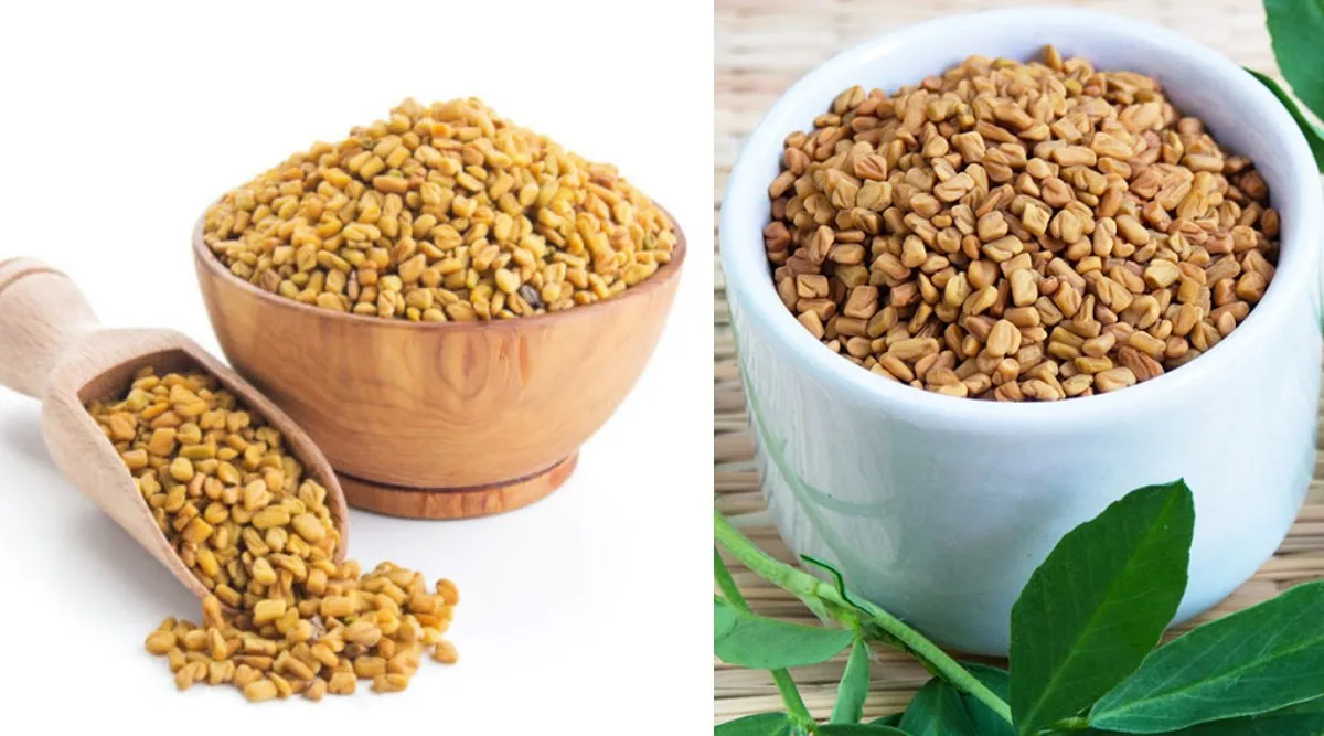 vendhayam benefits in tamil: methi seeds to control diabetes and to reduce hair fall