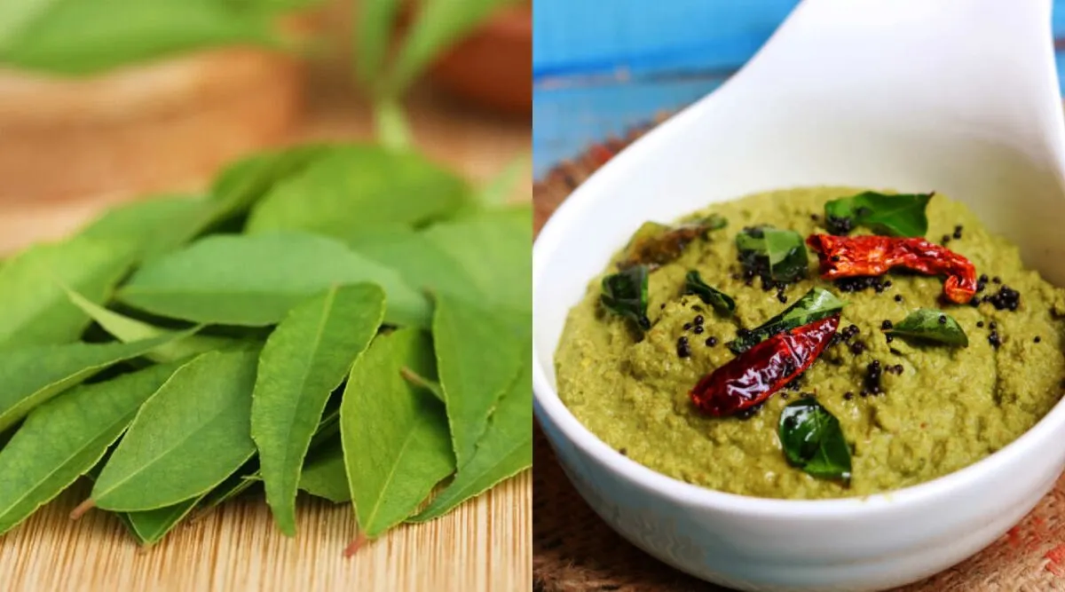 Chutney recipes in tamil: how make Curry leaves chutney and its super benefits