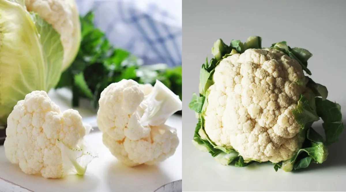 Cauliflower benefits in tamil: from controlling diabetes to reducing high blood pressure