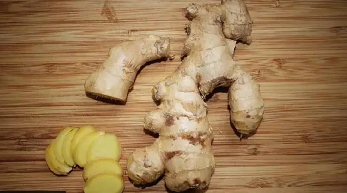 Tamil health tips: perfect time to use Fresh and dry ginger tamil