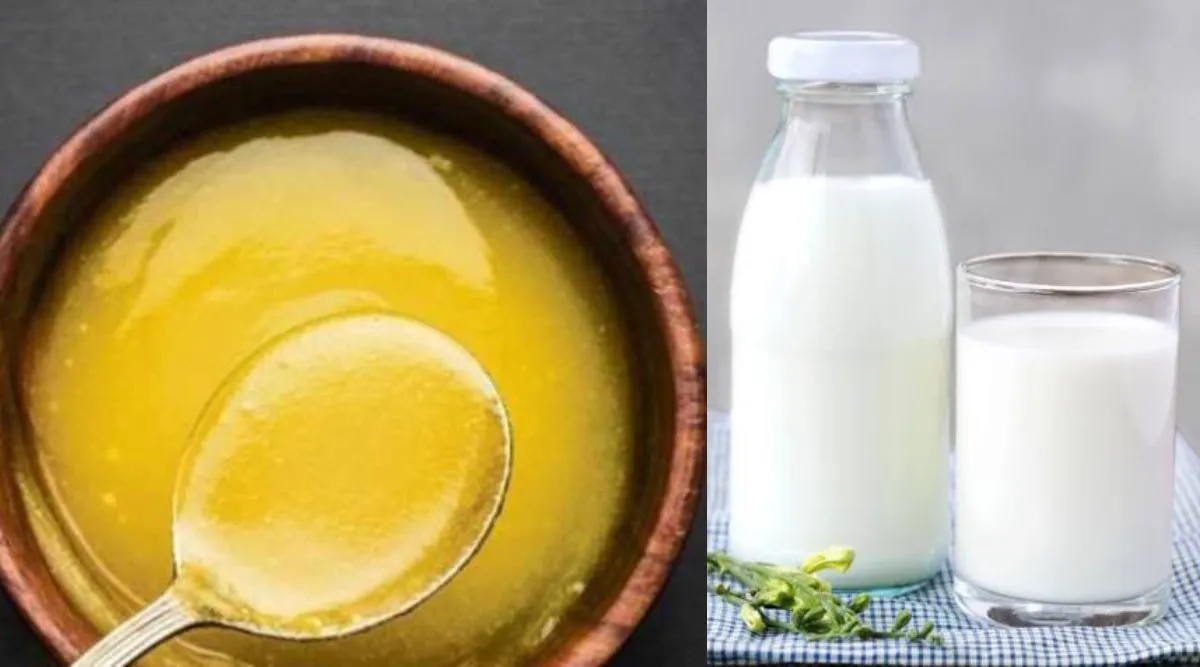 ghee milk benefits in tamil: important benefits of Drinking Milk and Ghee Before Bed