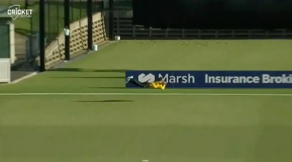 Watch video: Hilton Cartwright grabs one-handed stunner in the Domestic ODI Cup final