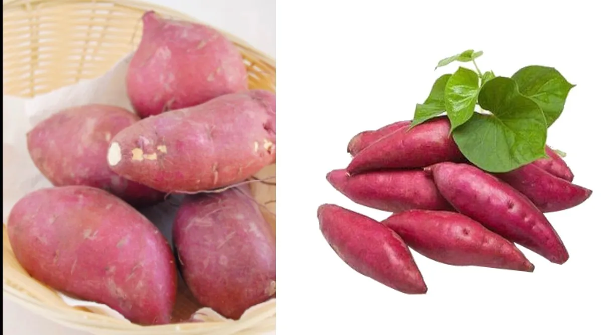 Sakkaravalli Kilangu benefits in tamil: Sweet potato for weight loss and diabetes