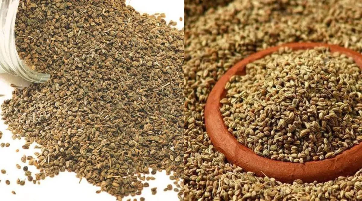 Carom Seeds benefits in tamil: medicinal uses of carom seeds or Ajwain or omam
