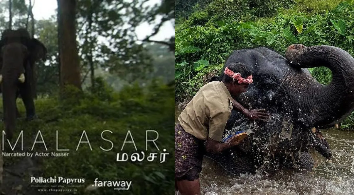 Malasar a documentary about anamalai elephant herding tribe 437756
