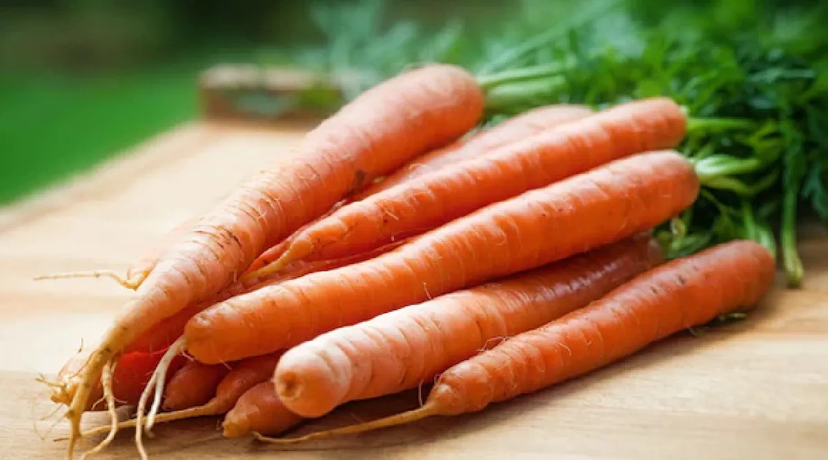 carrot benefits in Tamil: eating carrot daily benefits tamil
