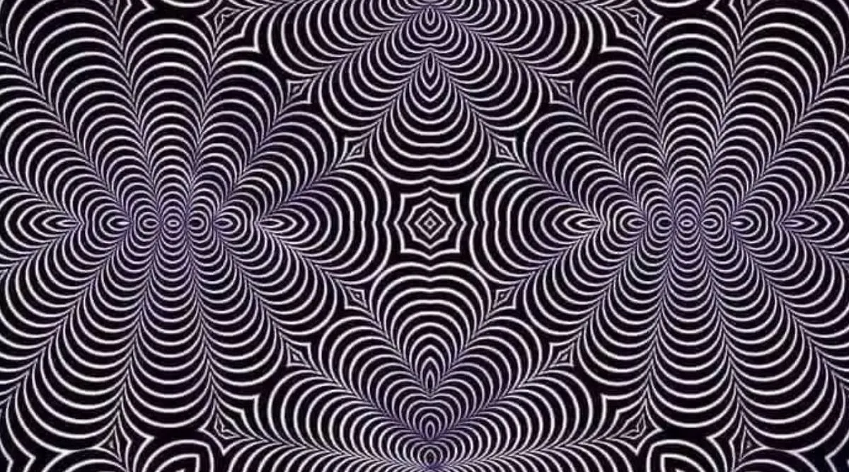 Optical illusion, optical illusion image, மறைந்திருக்கும் விலங்குகளைக் கண்டுபிடியுங்கள், மாயா, மாயா, 2 விலங்குகள், find hidden 2 animals, Trending News, Puzzles, Buzz, Viral, viral photo, puzzles photo