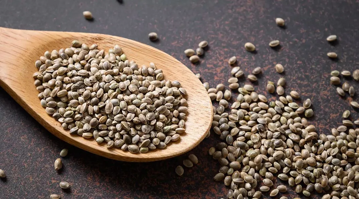 Hemp Seeds benefits in tamil: Benefits Of Consuming Hemp Seeds tamil