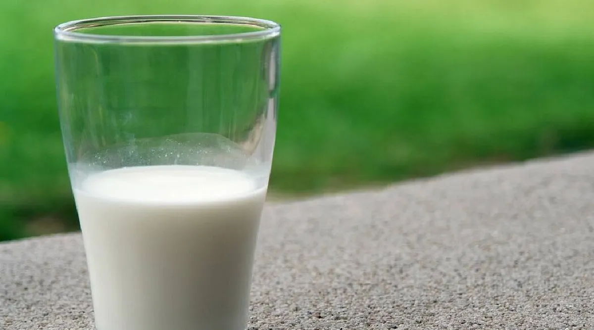 goat milk benefits in tamil: benefits of consuming goat milk