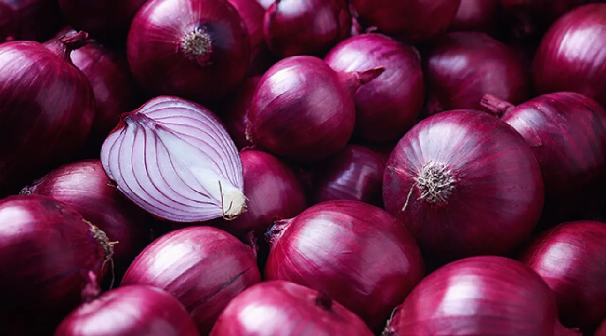 onion for diabetes in tamil